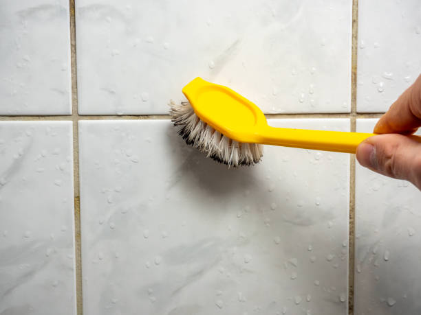 Best Fast Mold Removal  in Steele, MO