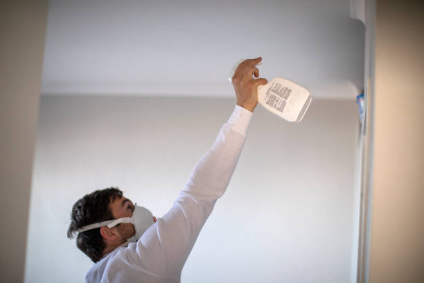Certified Mold Removal in Steele, MO