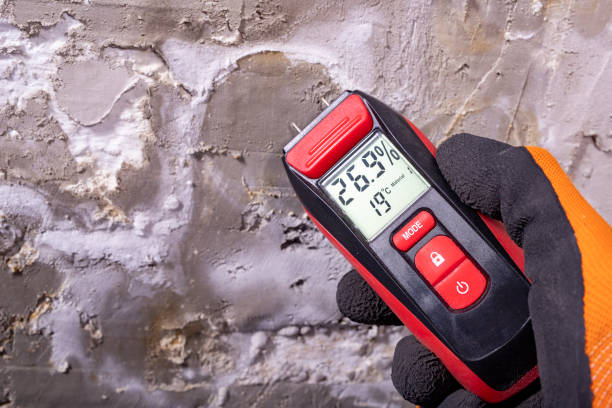 Best Emergency Mold Removal  in Steele, MO