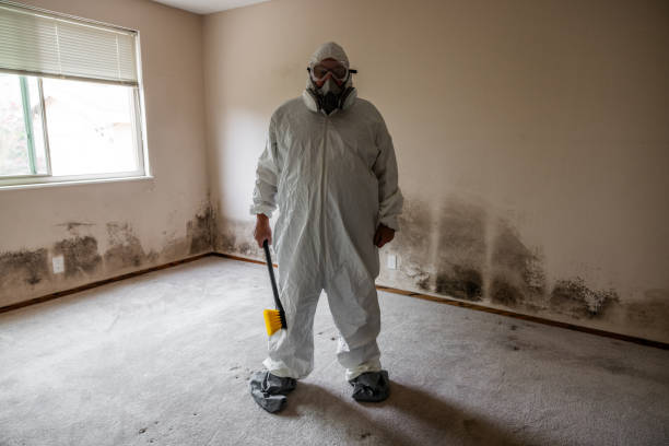 Best Crawl Space Mold Removal  in Steele, MO